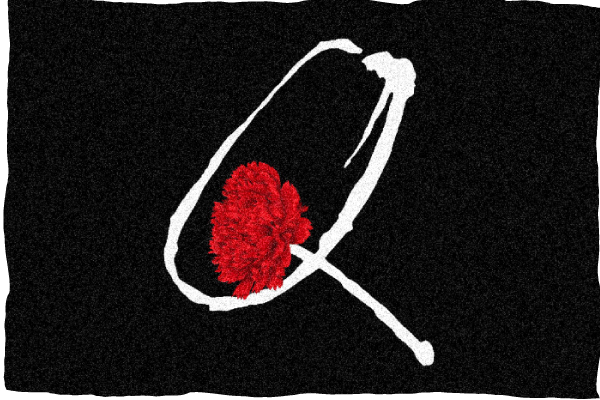 Q logo with carnation